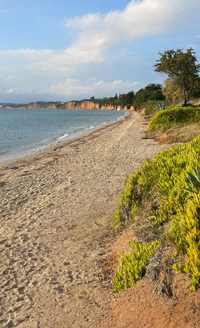 Medite beach 287b